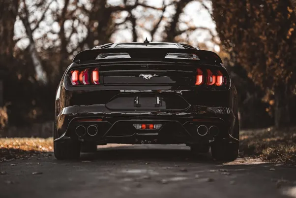 Winning Kazino Android/iOS programa